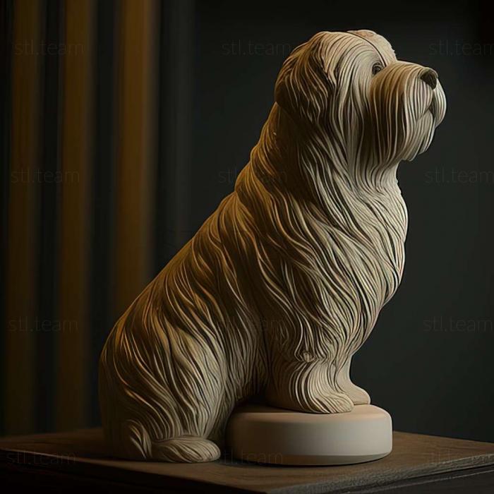 3D model Pyrenean Shepherd dog (STL)